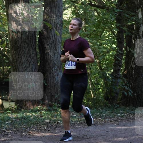 28.09.2025 - 33. Volkslauf durch das schöne Alstertal Strokosch-Dieckow http://msf.ph/oto/8969043 28.09.2025 11:20:34 Laufen 019 meine-sportfotos.de