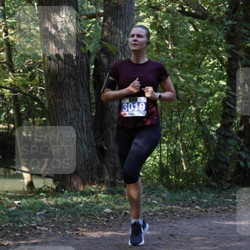 28.09.2025 - 33. Volkslauf durch das schöne Alstertal Strokosch-Dieckow http://msf.ph/oto/8969045 28.09.2025 11:20:34 Laufen 3019 meine-sportfotos.de