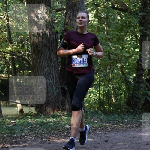 28.09.2025 - 33. Volkslauf durch das schöne Alstertal Strokosch-Dieckow http://msf.ph/oto/8969046 28.09.2025 11:20:34 Laufen 3019 meine-sportfotos.de