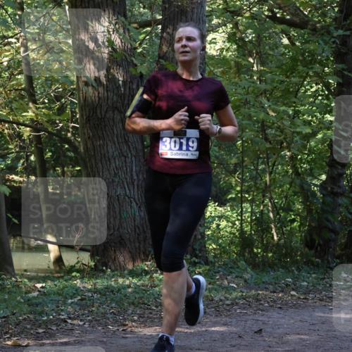 28.09.2025 - 33. Volkslauf durch das schöne Alstertal Strokosch-Dieckow http://msf.ph/oto/8969047 28.09.2025 11:20:34 Laufen 3019 meine-sportfotos.de