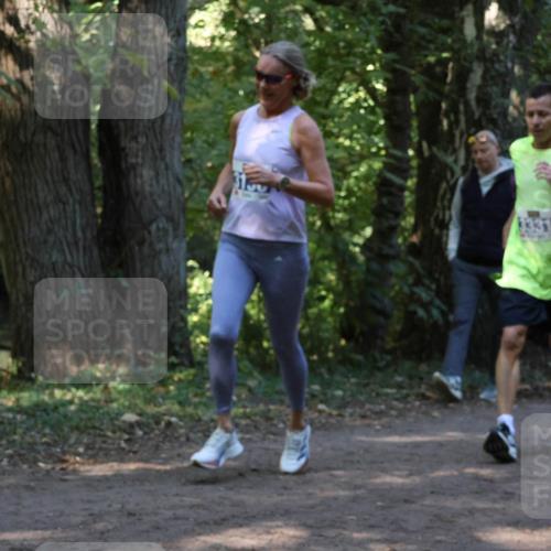 28.09.2025 - 33. Volkslauf durch das schöne Alstertal Strokosch-Dieckow http://msf.ph/oto/8969051 28.09.2025 11:20:39 Laufen  meine-sportfotos.de