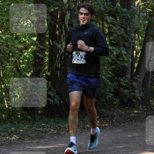 28.09.2025 - 33. Volkslauf durch das schöne Alstertal Strokosch-Dieckow http://msf.ph/oto/8969060 28.09.2025 11:20:47 Laufen 3042 meine-sportfotos.de