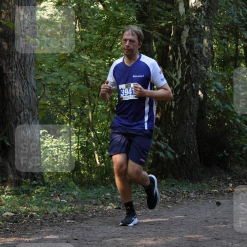 28.09.2025 - 33. Volkslauf durch das schöne Alstertal Strokosch-Dieckow http://msf.ph/oto/8969063 28.09.2025 11:20:57 Laufen 3941 meine-sportfotos.de