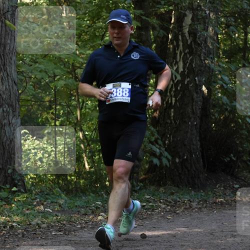 28.09.2025 - 33. Volkslauf durch das schöne Alstertal Strokosch-Dieckow http://msf.ph/oto/8969087 28.09.2025 11:21:17 Laufen 388, 3201 meine-sportfotos.de