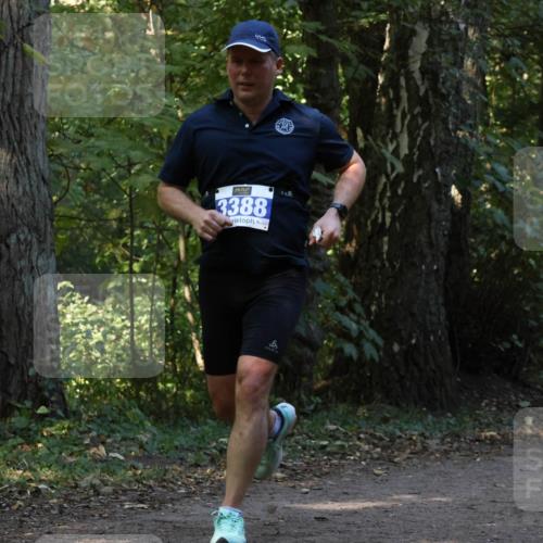 28.09.2025 - 33. Volkslauf durch das schöne Alstertal Strokosch-Dieckow http://msf.ph/oto/8969088 28.09.2025 11:21:17 Laufen 3388, 3201 meine-sportfotos.de