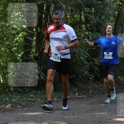 28.09.2025 - 33. Volkslauf durch das schöne Alstertal Strokosch-Dieckow http://msf.ph/oto/8969089 28.09.2025 11:21:18 Laufen 3201, 3232 meine-sportfotos.de