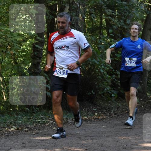 28.09.2025 - 33. Volkslauf durch das schöne Alstertal Strokosch-Dieckow http://msf.ph/oto/8969091 28.09.2025 11:21:18 Laufen 3201, 3232 meine-sportfotos.de