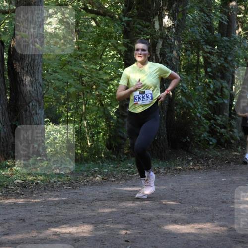 28.09.2025 - 33. Volkslauf durch das schöne Alstertal Strokosch-Dieckow http://msf.ph/oto/8969097 28.09.2025 11:21:23 Laufen 3333 meine-sportfotos.de