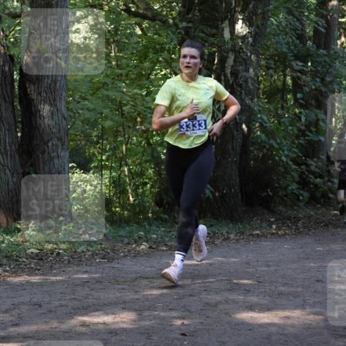 28.09.2025 - 33. Volkslauf durch das schöne Alstertal Strokosch-Dieckow http://msf.ph/oto/8969099 28.09.2025 11:21:23 Laufen 3333, 3133 meine-sportfotos.de
