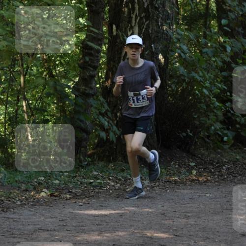28.09.2025 - 33. Volkslauf durch das schöne Alstertal Strokosch-Dieckow http://msf.ph/oto/8969101 28.09.2025 11:21:25 Laufen 3133 meine-sportfotos.de