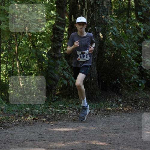 28.09.2025 - 33. Volkslauf durch das schöne Alstertal Strokosch-Dieckow http://msf.ph/oto/8969102 28.09.2025 11:21:25 Laufen 3133 meine-sportfotos.de
