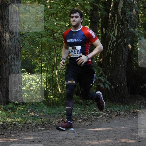 28.09.2025 - 33. Volkslauf durch das schöne Alstertal Strokosch-Dieckow http://msf.ph/oto/8969108 28.09.2025 11:21:28 Laufen 3247 meine-sportfotos.de