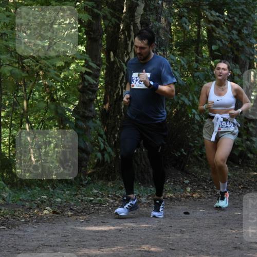 28.09.2025 - 33. Volkslauf durch das schöne Alstertal Strokosch-Dieckow http://msf.ph/oto/8969111 28.09.2025 11:21:32 Laufen 32, 8948 meine-sportfotos.de