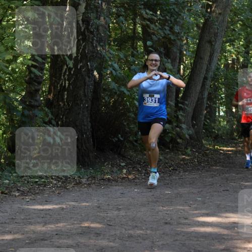 28.09.2025 - 33. Volkslauf durch das schöne Alstertal Strokosch-Dieckow http://msf.ph/oto/8969119 28.09.2025 11:21:37 Laufen 3931, 8929, 85, 4141, 4159, 202 meine-sportfotos.de