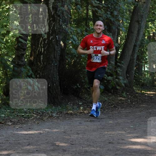28.09.2025 - 33. Volkslauf durch das schöne Alstertal Strokosch-Dieckow http://msf.ph/oto/8969121 28.09.2025 11:21:40 Laufen 3929, 8520, 4141 meine-sportfotos.de