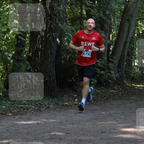 28.09.2025 - 33. Volkslauf durch das schöne Alstertal Strokosch-Dieckow http://msf.ph/oto/8969122 28.09.2025 11:21:40 Laufen 3929, 85202 meine-sportfotos.de