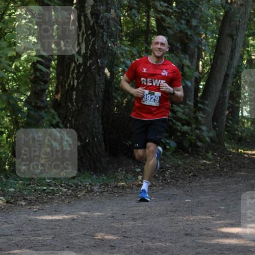 28.09.2025 - 33. Volkslauf durch das schöne Alstertal Strokosch-Dieckow http://msf.ph/oto/8969123 28.09.2025 11:21:40 Laufen 3929, 85, 414, 202 meine-sportfotos.de