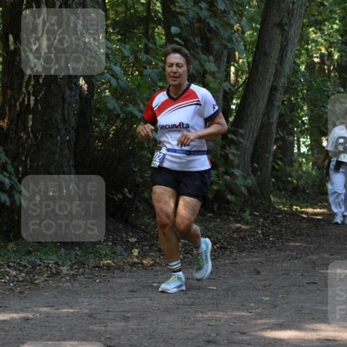 28.09.2025 - 33. Volkslauf durch das schöne Alstertal Strokosch-Dieckow http://msf.ph/oto/8969125 28.09.2025 11:21:43 Laufen 85, 414, 4159 meine-sportfotos.de