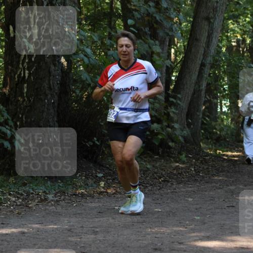 28.09.2025 - 33. Volkslauf durch das schöne Alstertal Strokosch-Dieckow http://msf.ph/oto/8969126 28.09.2025 11:21:43 Laufen 202, 85, 414, 4159 meine-sportfotos.de