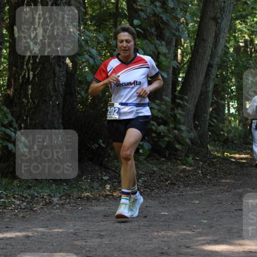 28.09.2025 - 33. Volkslauf durch das schöne Alstertal Strokosch-Dieckow http://msf.ph/oto/8969127 28.09.2025 11:21:43 Laufen 202, 85, 4159 meine-sportfotos.de
