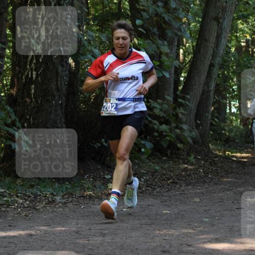 28.09.2025 - 33. Volkslauf durch das schöne Alstertal Strokosch-Dieckow http://msf.ph/oto/8969128 28.09.2025 11:21:43 Laufen 202, 85, 414, 4159 meine-sportfotos.de