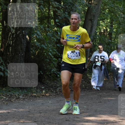 28.09.2025 - 33. Volkslauf durch das schöne Alstertal Strokosch-Dieckow http://msf.ph/oto/8969129 28.09.2025 11:21:46 Laufen 3904, 85, 4159 meine-sportfotos.de