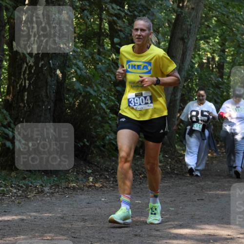 28.09.2025 - 33. Volkslauf durch das schöne Alstertal Strokosch-Dieckow http://msf.ph/oto/8969130 28.09.2025 11:21:46 Laufen 3904, 85, 4159, 414 meine-sportfotos.de