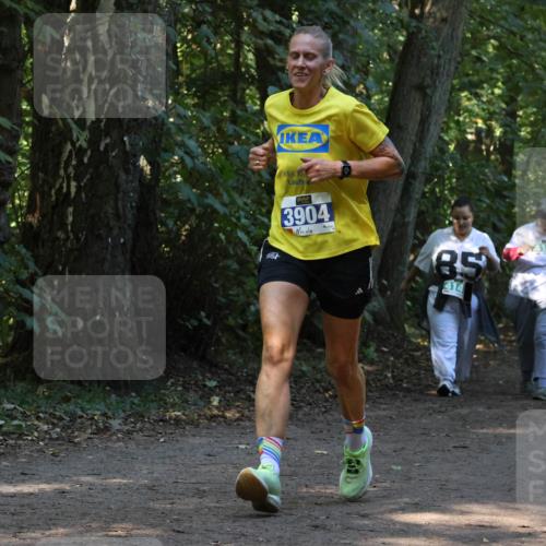 28.09.2025 - 33. Volkslauf durch das schöne Alstertal Strokosch-Dieckow http://msf.ph/oto/8969131 28.09.2025 11:21:47 Laufen 3904, 85, 414, 4159 meine-sportfotos.de