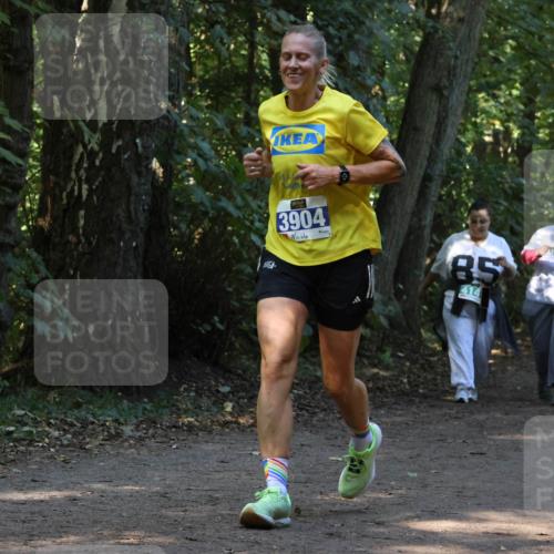 28.09.2025 - 33. Volkslauf durch das schöne Alstertal Strokosch-Dieckow http://msf.ph/oto/8969132 28.09.2025 11:21:47 Laufen 3904, 85, 414, 4159 meine-sportfotos.de