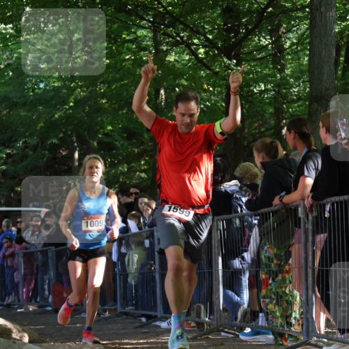 28.09.2025 - 33. Volkslauf durch das schöne Alstertal Strokosch-Dieckow http://msf.ph/oto/8969133 28.09.2025 11:49:32 Ziel 1009, 1599, 1616 meine-sportfotos.de