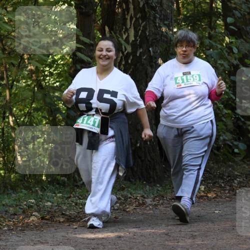 28.09.2025 - 33. Volkslauf durch das schöne Alstertal Strokosch-Dieckow http://msf.ph/oto/8969134 28.09.2025 11:21:54 Laufen 85, 4141, 1980, 4159 meine-sportfotos.de