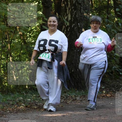 28.09.2025 - 33. Volkslauf durch das schöne Alstertal Strokosch-Dieckow http://msf.ph/oto/8969136 28.09.2025 11:21:54 Laufen 85, 4141, 4159 meine-sportfotos.de