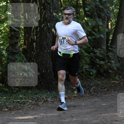 28.09.2025 - 33. Volkslauf durch das schöne Alstertal Strokosch-Dieckow http://msf.ph/oto/8969138 28.09.2025 11:22:02 Laufen 318 meine-sportfotos.de