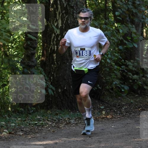 28.09.2025 - 33. Volkslauf durch das schöne Alstertal Strokosch-Dieckow http://msf.ph/oto/8969141 28.09.2025 11:22:02 Laufen 3188 meine-sportfotos.de