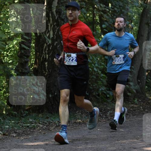 28.09.2025 - 33. Volkslauf durch das schöne Alstertal Strokosch-Dieckow http://msf.ph/oto/8969144 28.09.2025 11:22:05 Laufen 3922, 3956 meine-sportfotos.de