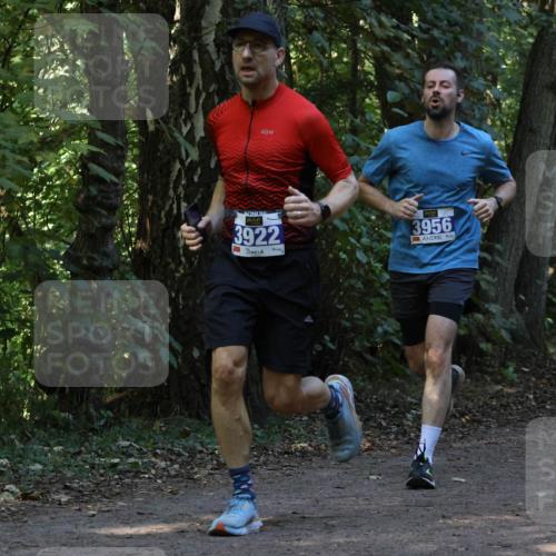 28.09.2025 - 33. Volkslauf durch das schöne Alstertal Strokosch-Dieckow http://msf.ph/oto/8969145 28.09.2025 11:22:05 Laufen 20, 3922, 3956 meine-sportfotos.de