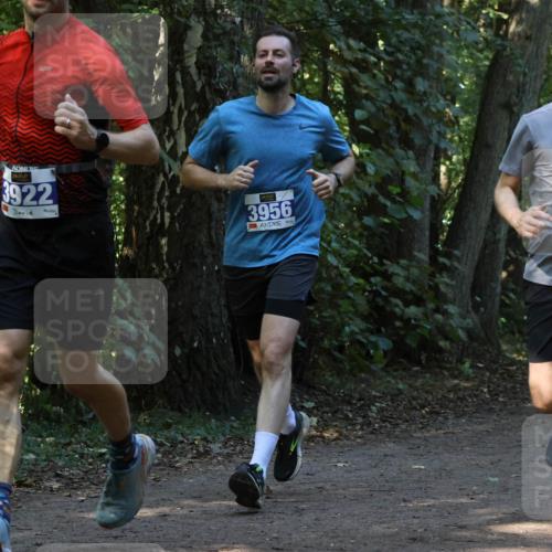 28.09.2025 - 33. Volkslauf durch das schöne Alstertal Strokosch-Dieckow http://msf.ph/oto/8969148 28.09.2025 11:22:06 Laufen 3922, 3956, 3287, 1 meine-sportfotos.de