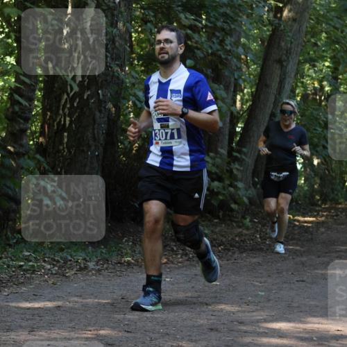 28.09.2025 - 33. Volkslauf durch das schöne Alstertal Strokosch-Dieckow http://msf.ph/oto/8969159 28.09.2025 11:22:19 Laufen 3942, 3071 meine-sportfotos.de