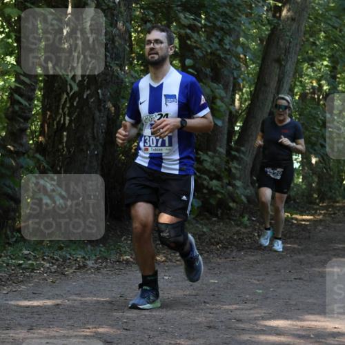 28.09.2025 - 33. Volkslauf durch das schöne Alstertal Strokosch-Dieckow http://msf.ph/oto/8969160 28.09.2025 11:22:19 Laufen 942, 3071 meine-sportfotos.de