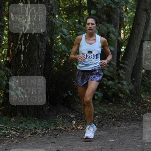 28.09.2025 - 33. Volkslauf durch das schöne Alstertal Strokosch-Dieckow http://msf.ph/oto/8969166 28.09.2025 11:22:26 Laufen 3285, 3314 meine-sportfotos.de