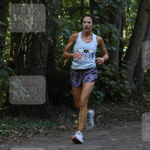 28.09.2025 - 33. Volkslauf durch das schöne Alstertal Strokosch-Dieckow http://msf.ph/oto/8969169 28.09.2025 11:22:26 Laufen 285, 3314 meine-sportfotos.de
