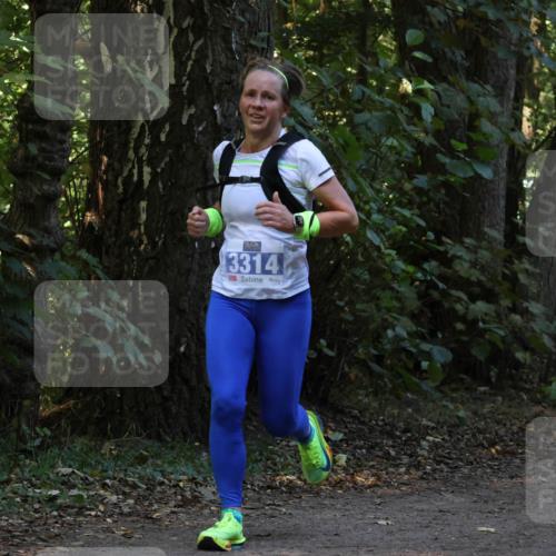 28.09.2025 - 33. Volkslauf durch das schöne Alstertal Strokosch-Dieckow http://msf.ph/oto/8969171 28.09.2025 11:22:28 Laufen 3314 meine-sportfotos.de