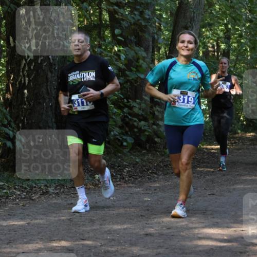 28.09.2025 - 33. Volkslauf durch das schöne Alstertal Strokosch-Dieckow http://msf.ph/oto/8969201 28.09.2025 11:23:26 Laufen 2014, 3110, 319, 081 meine-sportfotos.de