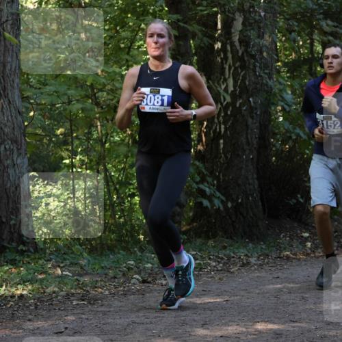 28.09.2025 - 33. Volkslauf durch das schöne Alstertal Strokosch-Dieckow http://msf.ph/oto/8969209 28.09.2025 11:23:30 Laufen 3081, 3152 meine-sportfotos.de
