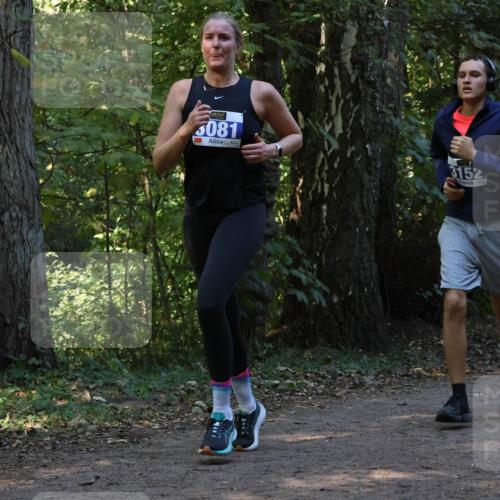 28.09.2025 - 33. Volkslauf durch das schöne Alstertal Strokosch-Dieckow http://msf.ph/oto/8969210 28.09.2025 11:23:30 Laufen 3081, 3152 meine-sportfotos.de