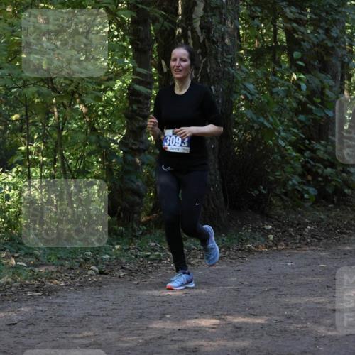 28.09.2025 - 33. Volkslauf durch das schöne Alstertal Strokosch-Dieckow http://msf.ph/oto/8969217 28.09.2025 11:23:42 Laufen 3093 meine-sportfotos.de