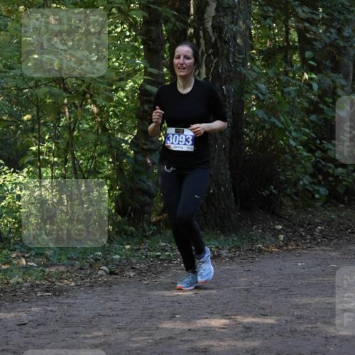 28.09.2025 - 33. Volkslauf durch das schöne Alstertal Strokosch-Dieckow http://msf.ph/oto/8969218 28.09.2025 11:23:42 Laufen 13093 meine-sportfotos.de