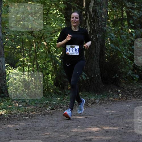 28.09.2025 - 33. Volkslauf durch das schöne Alstertal Strokosch-Dieckow http://msf.ph/oto/8969220 28.09.2025 11:23:42 Laufen 3093 meine-sportfotos.de