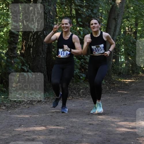 28.09.2025 - 33. Volkslauf durch das schöne Alstertal Strokosch-Dieckow http://msf.ph/oto/8969221 28.09.2025 11:23:44 Laufen 3187, 3155 meine-sportfotos.de