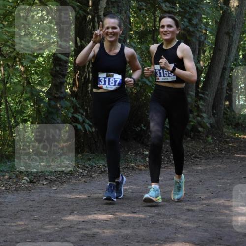 28.09.2025 - 33. Volkslauf durch das schöne Alstertal Strokosch-Dieckow http://msf.ph/oto/8969227 28.09.2025 11:23:45 Laufen 3187, 3155 meine-sportfotos.de